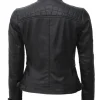 Petite Black Leather Jacket